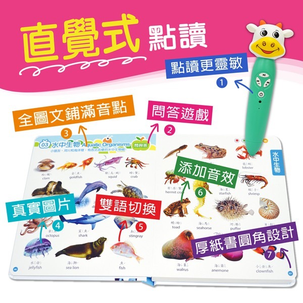 小牛津 /全腦開發點讀大寶盒48件組 一套8冊 5種語言充電點讀筆支援免運活動-細節圖5