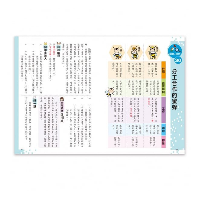 [現貨]世一/小學生的跨領域閱讀：低年級、小學生的跨領域閱讀：中年級、小學生的跨領域閱讀：高年級 單本賣場-細節圖3