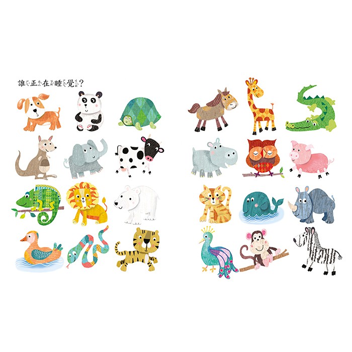 球球館/猜猜看、找找看!：下一個是誰? + 是誰不一樣?(全2冊)-細節圖6
