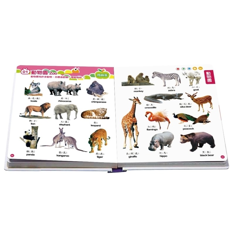 小牛津/點讀全新改版七件組！最新外盒搭配老虎點讀筆  加贈「點讀卡貼紙包」(2種外盒包裝隨機出貨內容物相同)-細節圖6