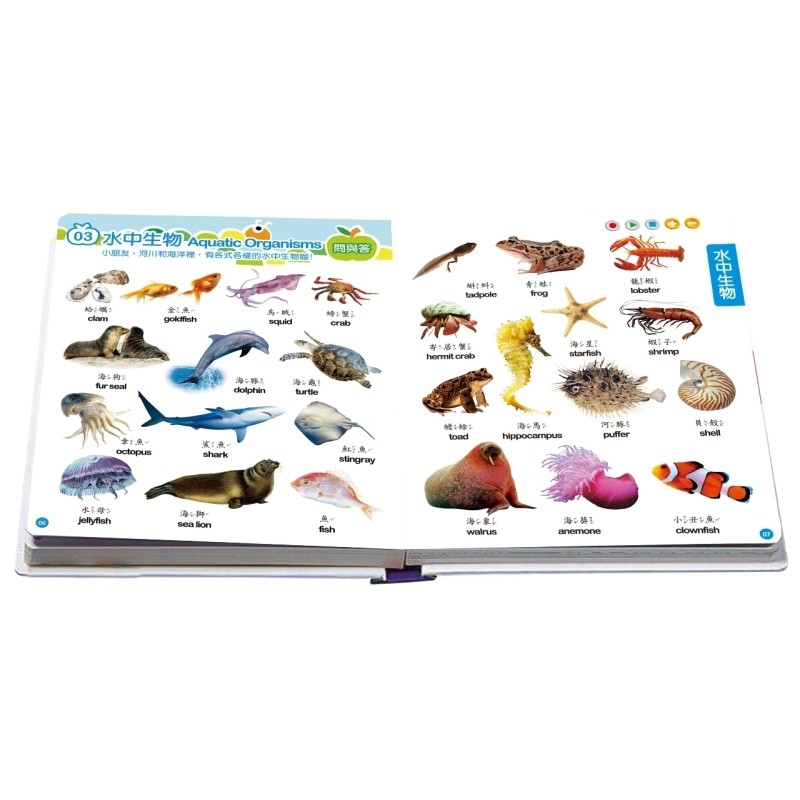 小牛津/點讀全新改版七件組！最新外盒搭配老虎點讀筆  加贈「點讀卡貼紙包」(2種外盒包裝隨機出貨內容物相同)-細節圖7