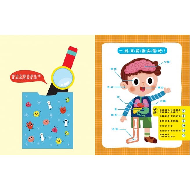 双美/探照燈找一找：透視身體大解密 現貨-細節圖2