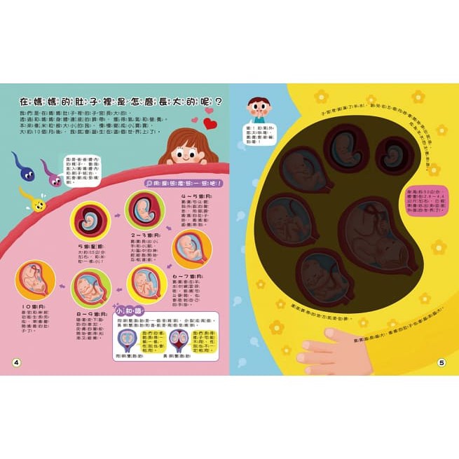 双美/探照燈找一找：透視身體大解密 現貨-細節圖3