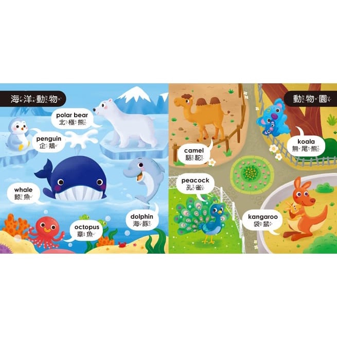 双美/孩子的第一台手提觸控平板：交通工具．動物、孩子的第一台手提觸控平板：ㄅㄆㄇ．ABC．數字加法．九九乘法-細節圖6