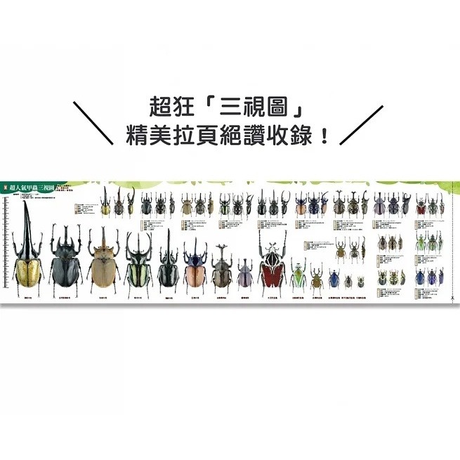 野人/甲蟲超人超圖解-細節圖2