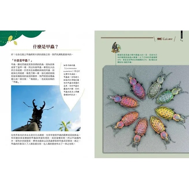 野人/甲蟲超人超圖解-細節圖3