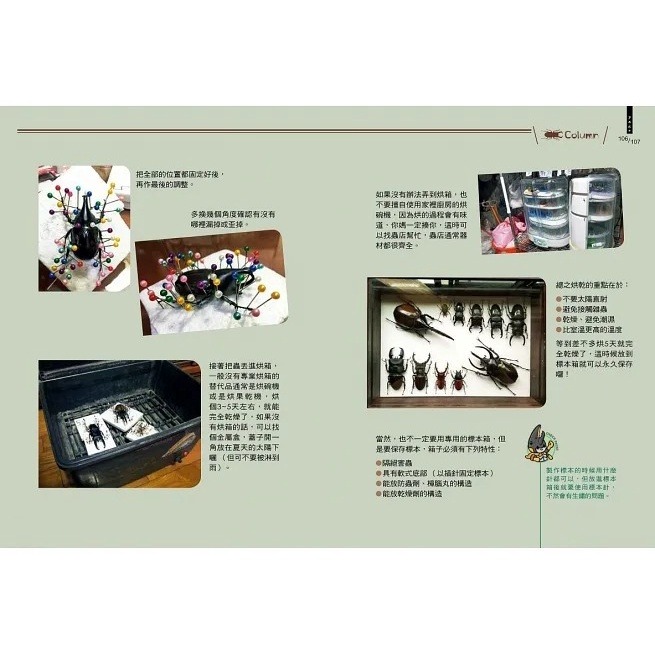 野人/甲蟲超人超圖解-細節圖4