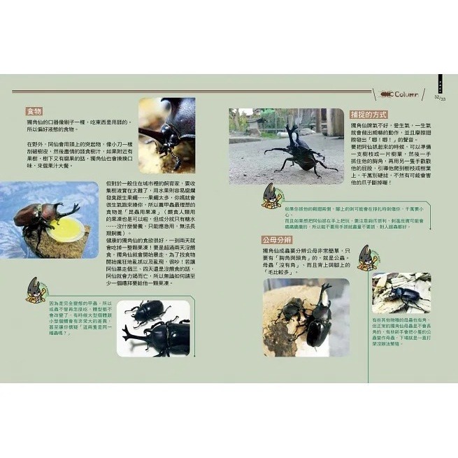 野人/甲蟲超人超圖解-細節圖5