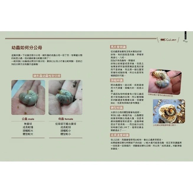 野人/甲蟲超人超圖解-細節圖6