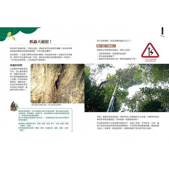 野人/甲蟲超人超圖解-細節圖8