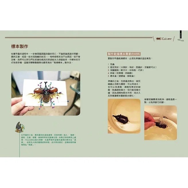 野人/甲蟲超人超圖解-細節圖9