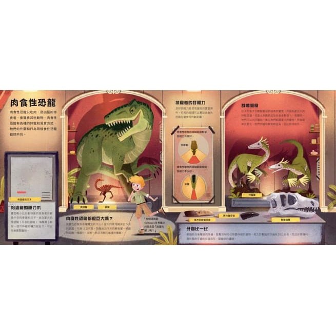 水滴/打造你的恐龍博物館（內含5組史前恐龍立體模型）-細節圖5
