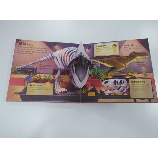 水滴/打造你的恐龍博物館（內含5組史前恐龍立體模型）-細節圖6