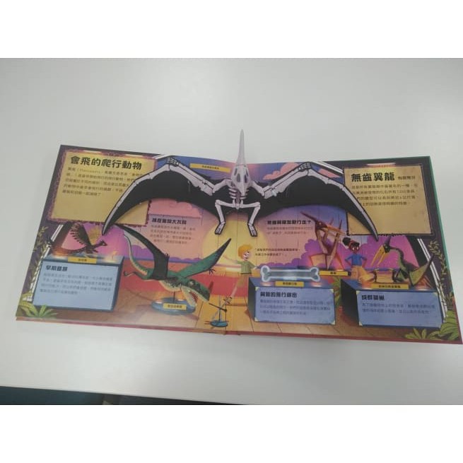 水滴/打造你的恐龍博物館（內含5組史前恐龍立體模型）-細節圖8