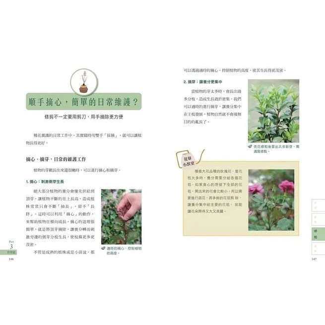 采實/ 新手種花100問【暢銷修訂版】：資深專家40年經驗，種植疑難雜症全圖解-細節圖3