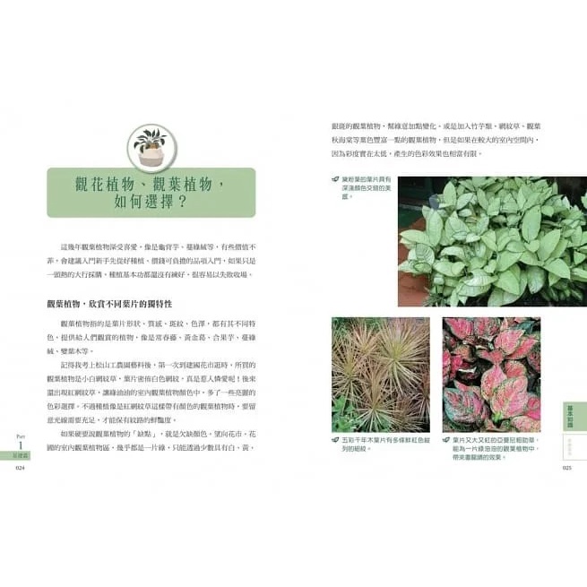 采實/ 新手種花100問【暢銷修訂版】：資深專家40年經驗，種植疑難雜症全圖解-細節圖8