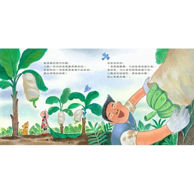 小宇宙/ 臺灣水果有學問-燕巢芭樂的火山祕密、旗山香蕉大王、麻豆文旦的傳奇、關廟鳳梨的種子祕密、林邊蓮霧的黑珍珠奇蹟-細節圖8