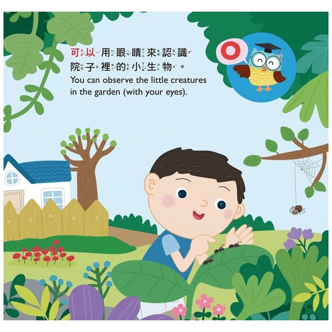 螢火蟲/可以不可以─寶寶好規矩1、可以不可以─寶寶好規矩2-細節圖4