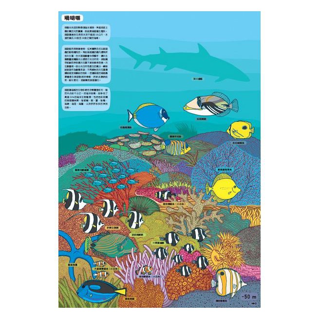 小天下/地下世界．水下世界-細節圖4