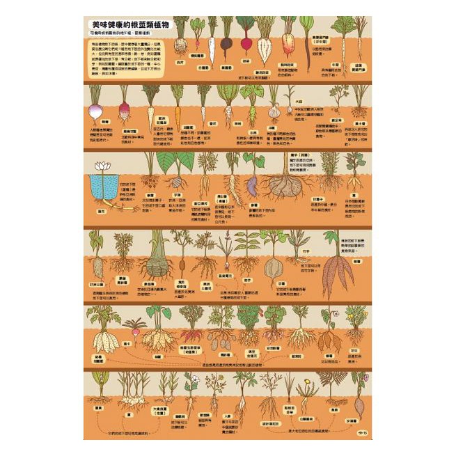 小天下/地下世界．水下世界-細節圖6