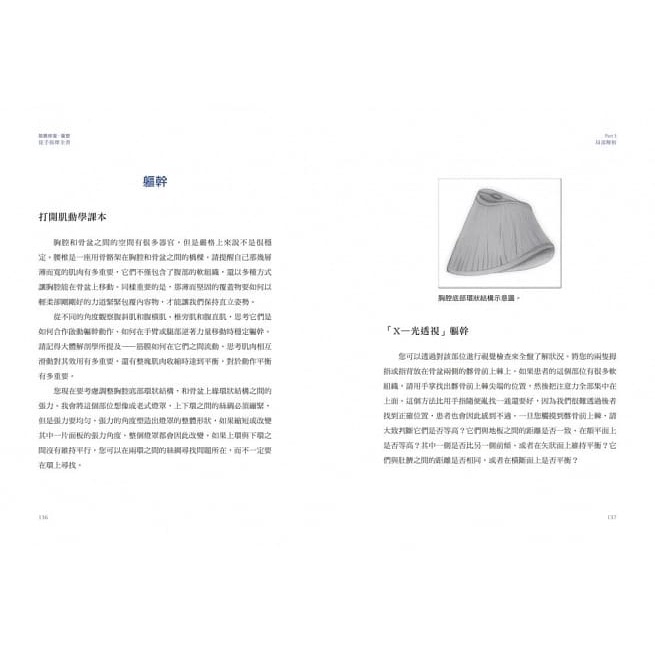 采實/筋膜修復重塑徒手按摩全書：圖解9大部位×6大手法，40年資深治療師的疼痛緩解＆身體復原指南-細節圖4