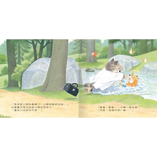 球球館/山貓醫生的團圓賞月、好忙好忙的山貓醫生、山貓醫生的冒險暑假、山貓醫生的雪橇快快跑 套書賣場 春夏秋冬四個季節-細節圖7