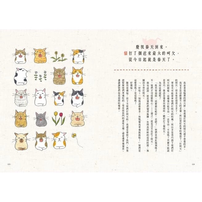 時報/ 有貓的日子，才叫生活-細節圖4