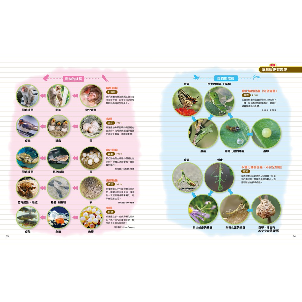 双美 理科日誌366 : 一日10分鐘，解答生活中無所不在的「為什麼」另有科學日誌366：一日10分鐘-細節圖3