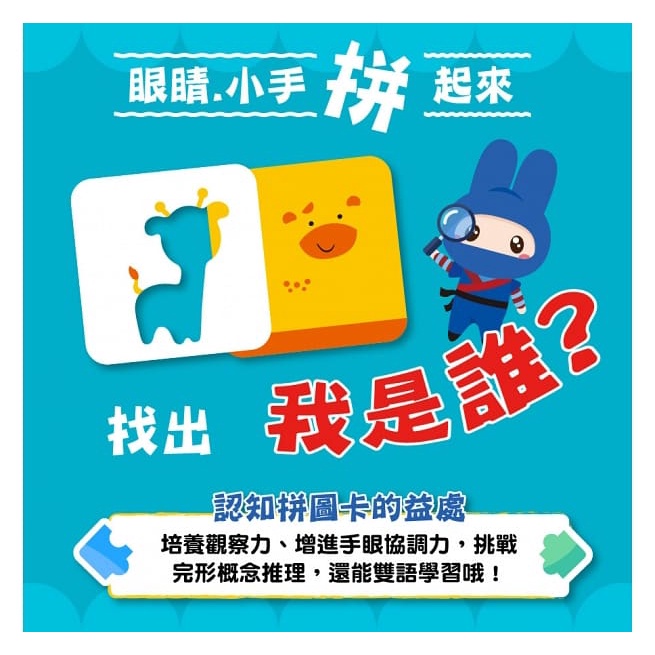 幼福/認知拼圖卡：動物找一找、認知拼圖卡：恐龍點一點、認知拼圖卡：交通工具猜一猜 單款賣場-細節圖2