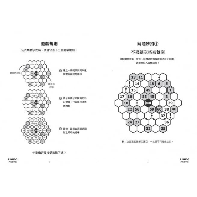 和平國際/RIKUDO六角數字蛇：新符號、新規則、新數字邏輯遊戲，6大難度級別，挑戰你的思考極限！-細節圖3