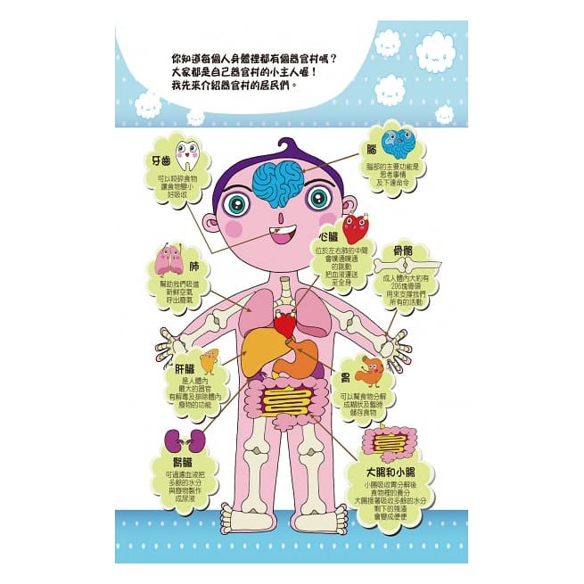 庫存出清双美/玩出知識力／認識身體大冒險（內附學習遊戲貼紙書+玩具聽診器+玩具針筒）-細節圖4