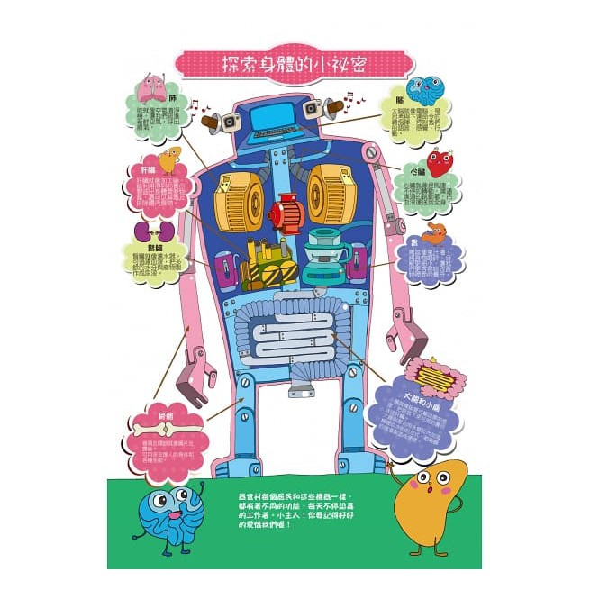 庫存出清双美/玩出知識力／認識身體大冒險（內附學習遊戲貼紙書+玩具聽診器+玩具針筒）-細節圖6
