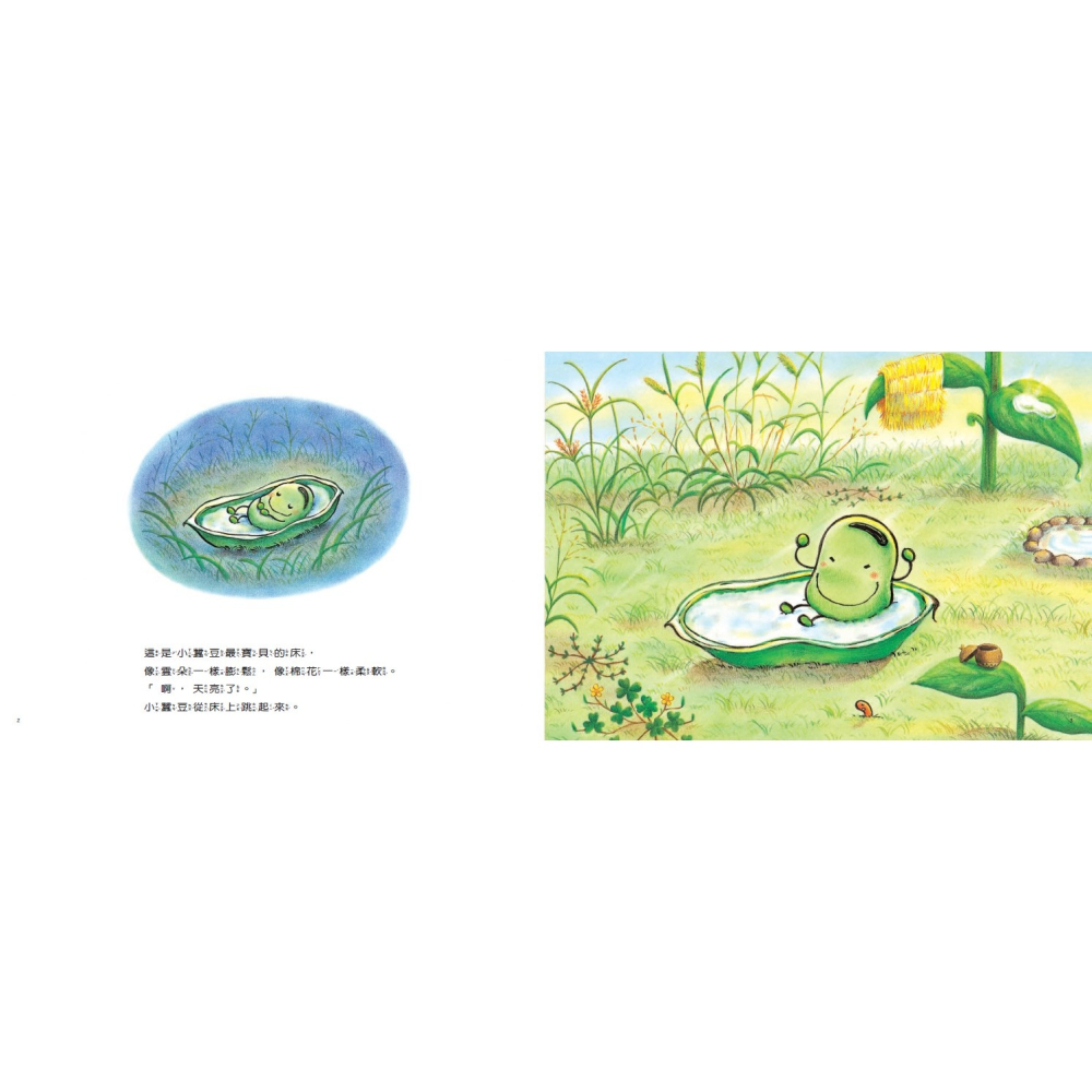 小蠶豆和好朋友們：中屋美和燙金印簽限量套書(全套5冊)-細節圖4