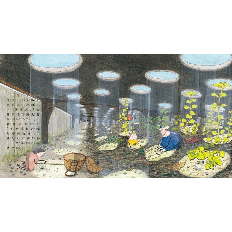 采實 加藤亞樹《小小鄰》成長繪本系列‧ 經典再現珍藏套書（全5冊）小小鄰一家有新成員了-細節圖2