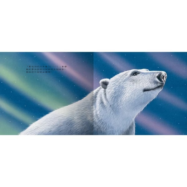 禾流 Dasher and the Polar Bear 極光下的相遇-細節圖3