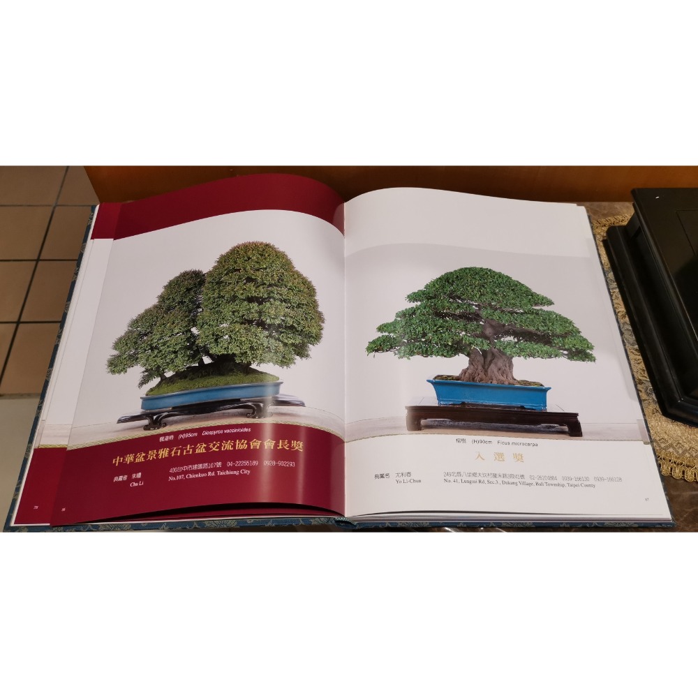 二手絕版精裝硬殼書，美夢成真2004年國際盆景、雅石、古盆展展品攝影集-細節圖3