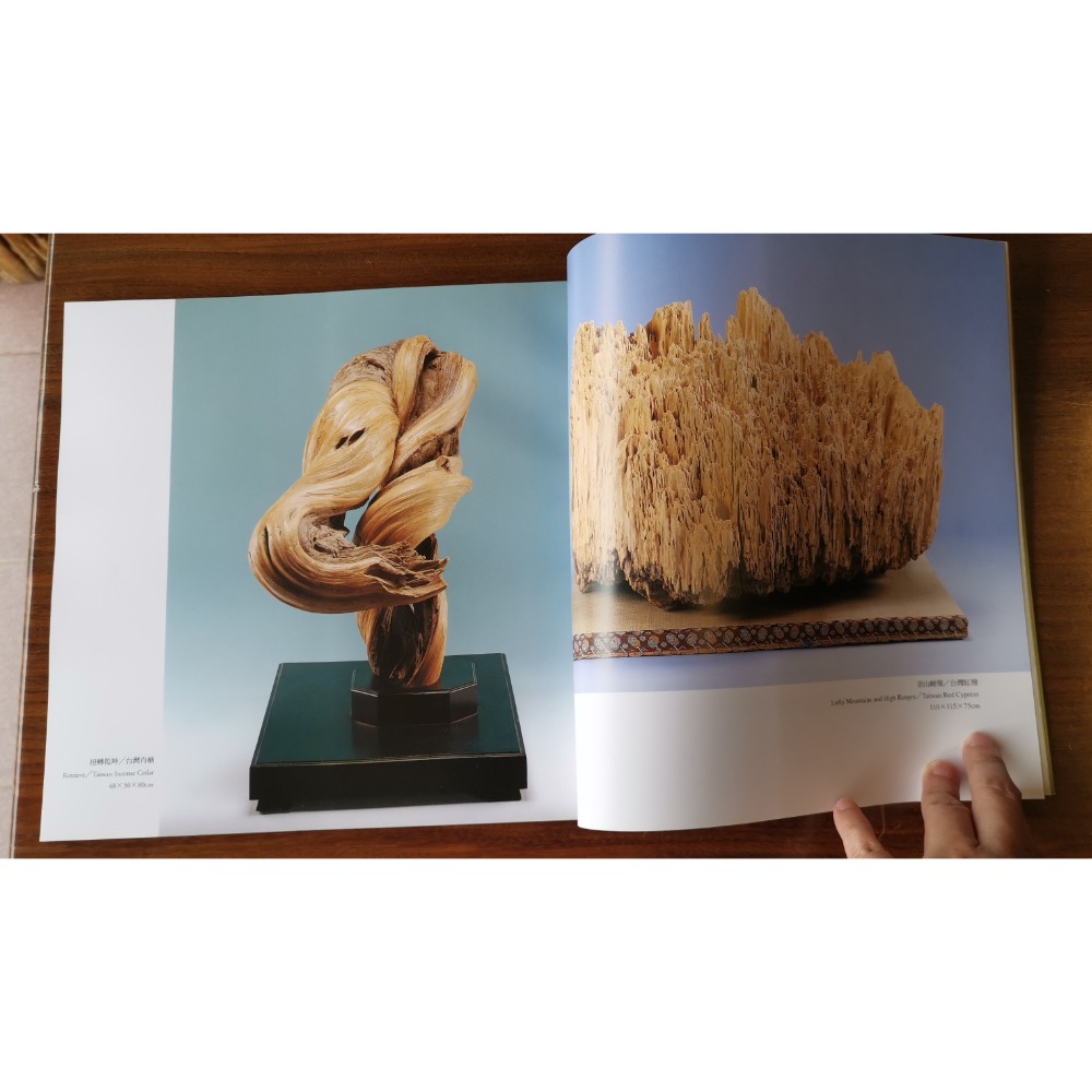 二手書-白滄沂的創造與回歸/天雕藝術，德國、英國巡迴展-細節圖3