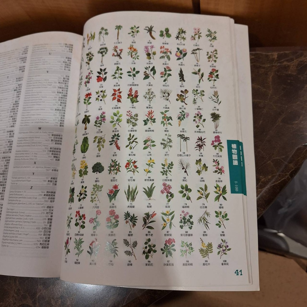 二手書, 植物解說牌+怎樣在家種花養草, 兩本打包一起賣-細節圖4