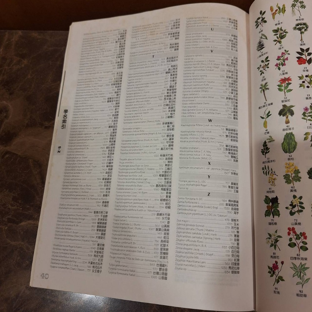 二手書, 植物解說牌+怎樣在家種花養草, 兩本打包一起賣-細節圖5