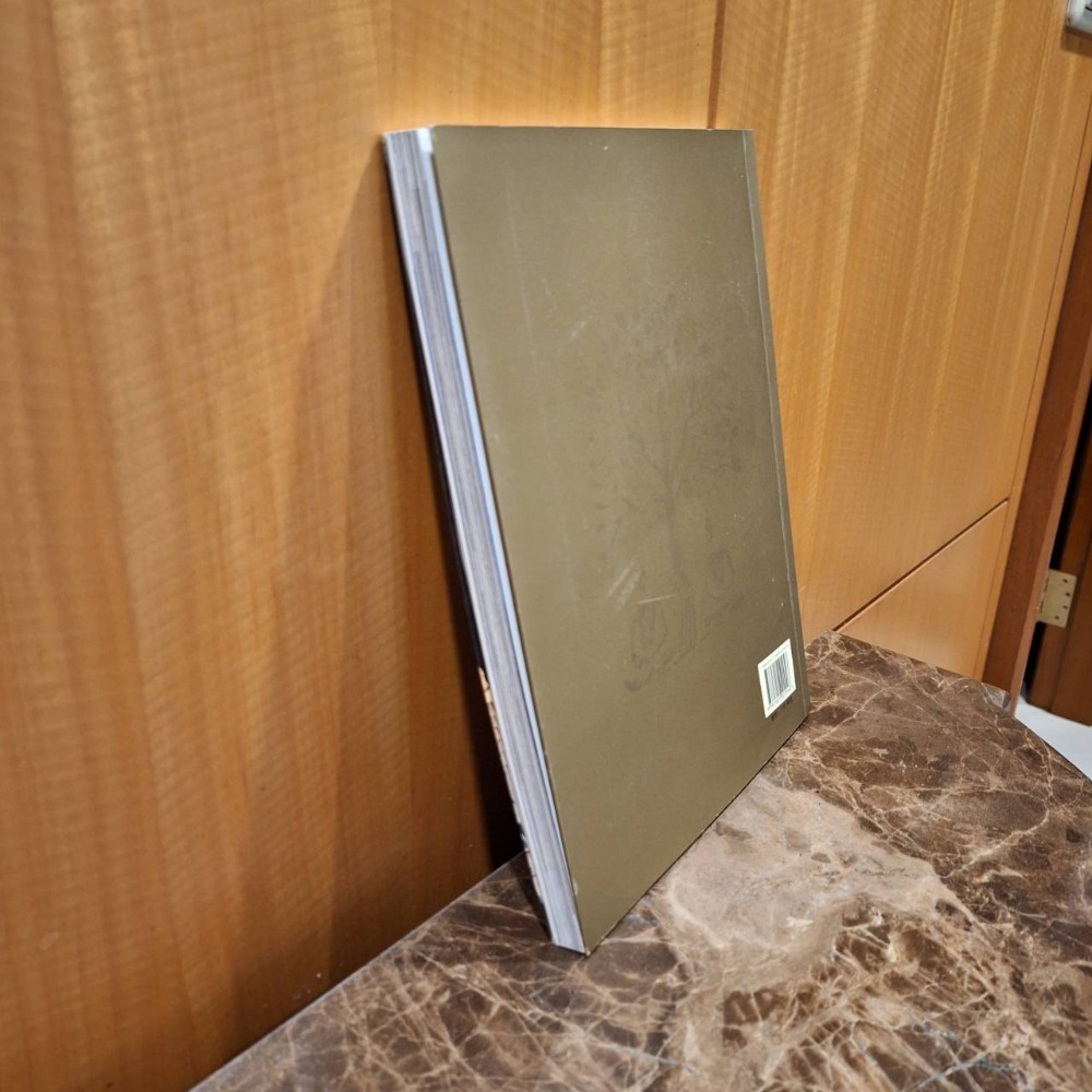 二手簡體字書本, 雲岡石窟/雲岡石窟研究院編, 2008年4月第一版-細節圖5