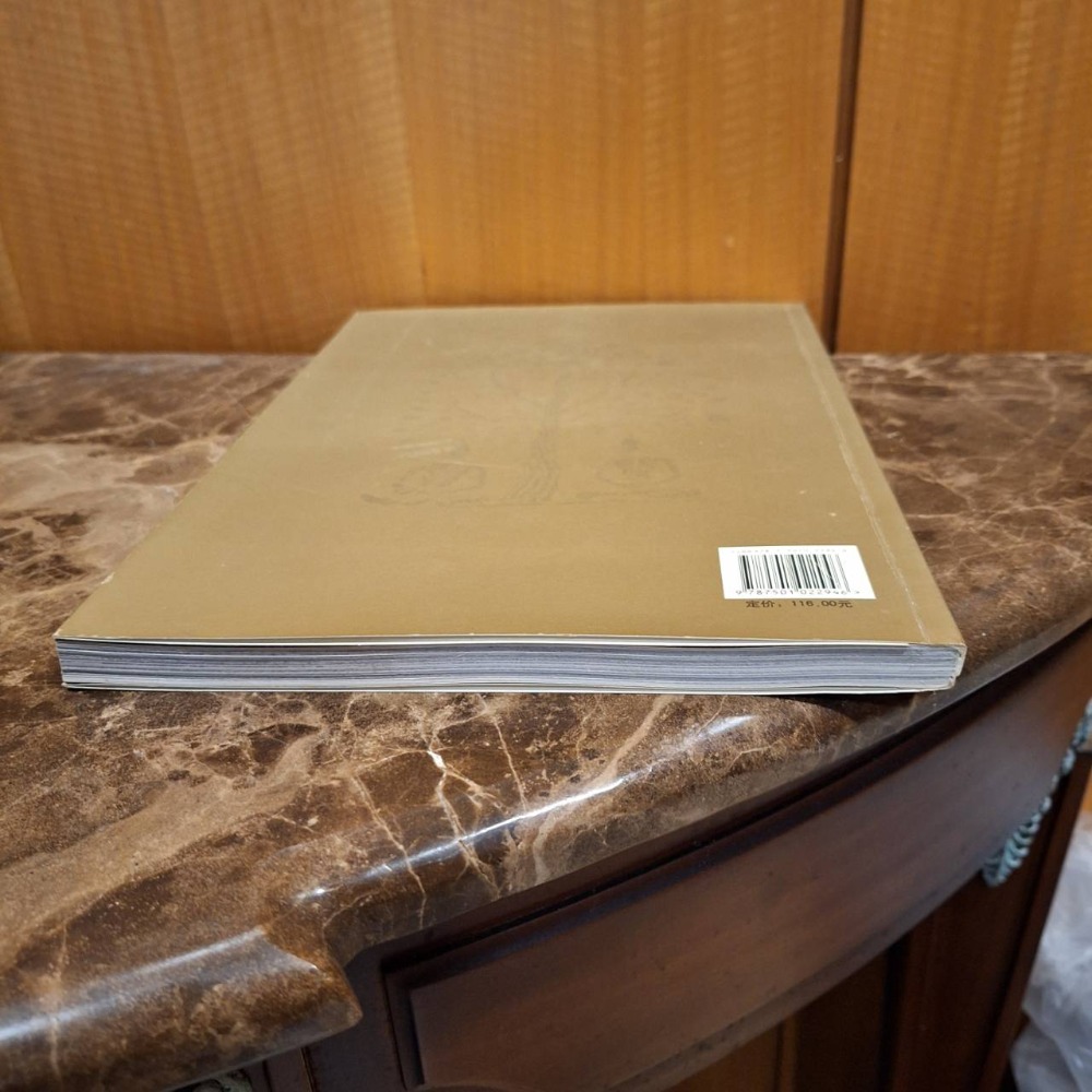 二手簡體字書本, 雲岡石窟/雲岡石窟研究院編, 2008年4月第一版-細節圖6