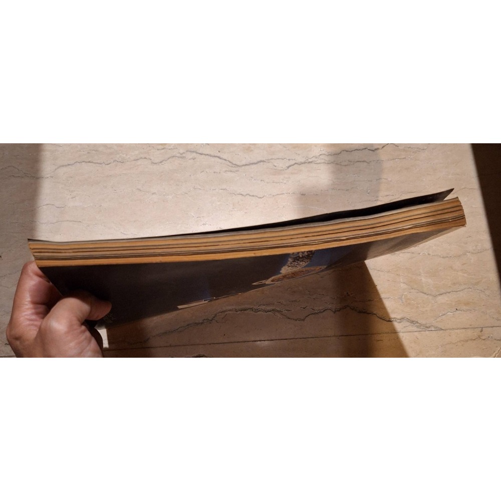 1974年5月出版老雜誌, 高爾夫文摘Golf Digestゴルフダイジェスト第14卷第5號-細節圖6