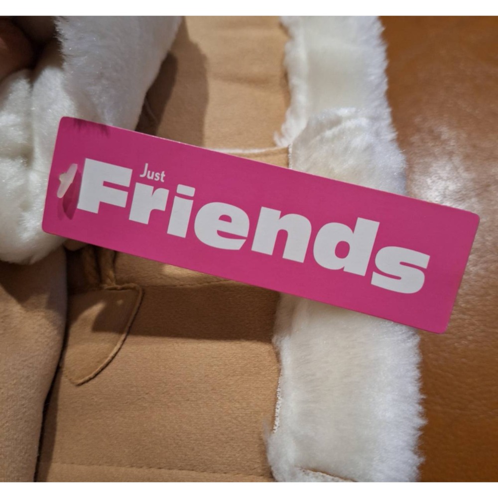 台灣製造, 全新JUST FRIENDS幼兒冬季連帽刷毛外套,尺碼3T-細節圖7