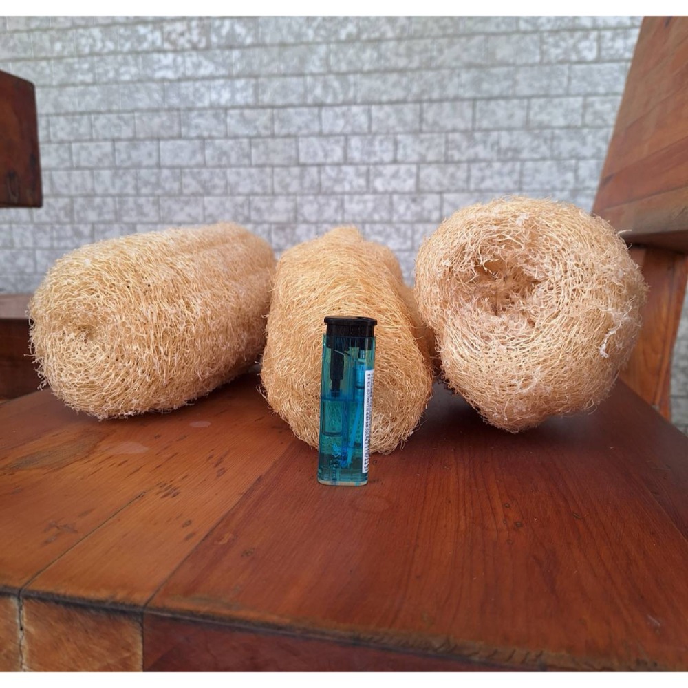 全新商品, 天然菜瓜布,自家花園種植,三條打包一起賣-細節圖2