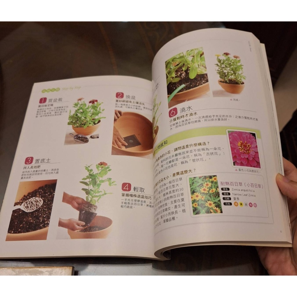二手書, 每本售價80元.［喝,一碗好湯/領巾、長巾&圍巾百變魔法/居家盆栽變花園］-細節圖5