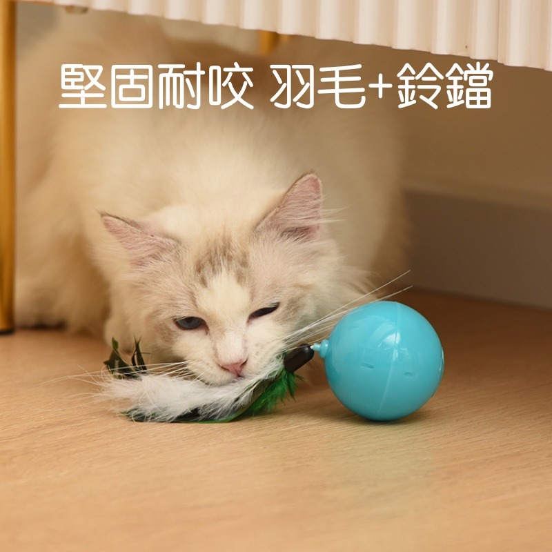 🔥台灣出貨🔥 自動逗貓球 電動逗貓球 逗貓球 雷射逗貓球 貓咪玩具 貓玩具 寵物用品 羽毛 鈴鐺 寵物 USB充電-細節圖4
