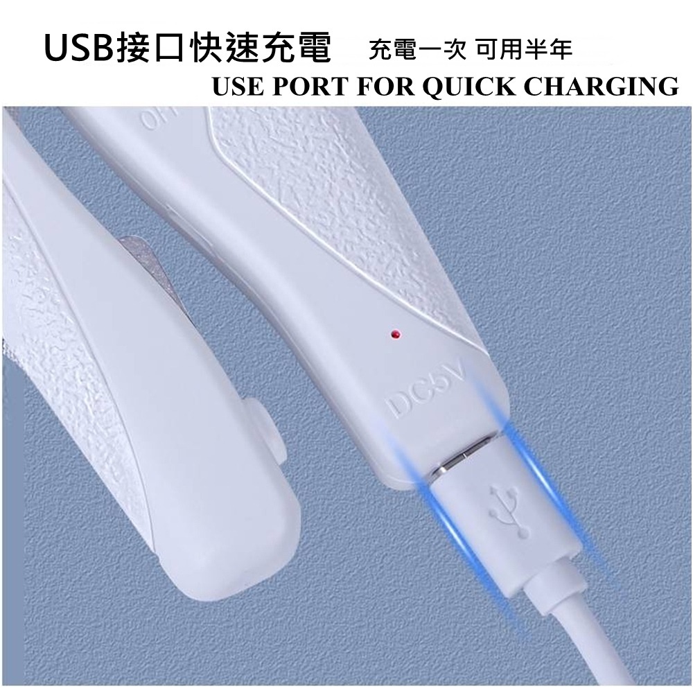 寵物指甲剪 附銼刀 貓咪 狗狗  寵物美容 狗指甲剪 貓指甲剪 貓咪指甲剪 寵物指甲 寵物磨甲 寵物用品 led指甲剪-細節圖4