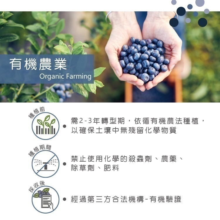 【天時莓果】美國有機冷凍栽種藍莓 1000g [獨家商品．慈心有機驗證]-細節圖5