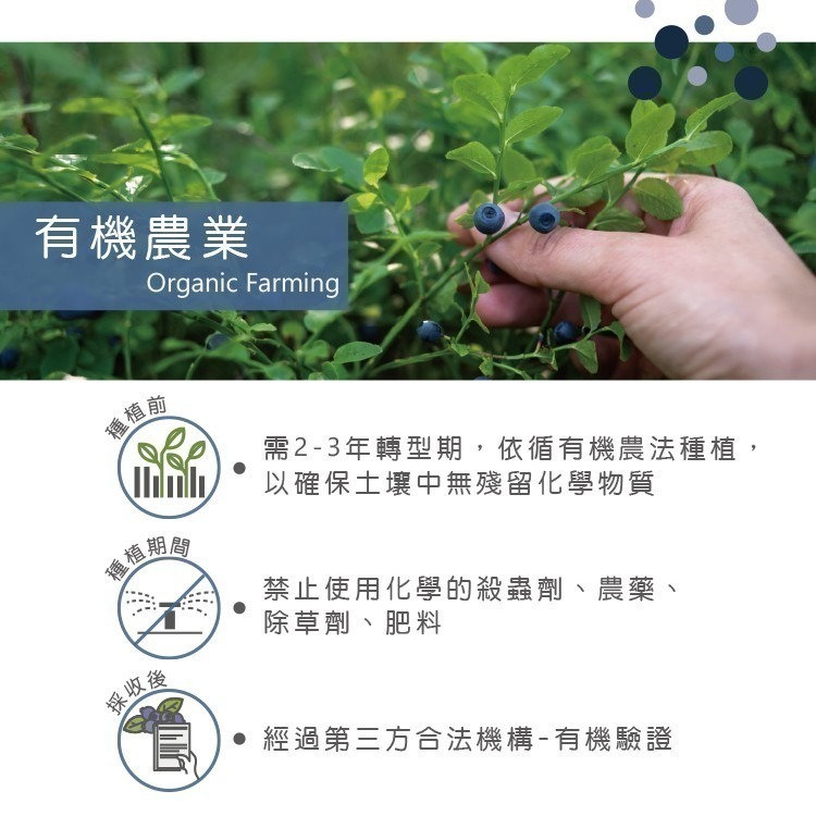 【天時莓果】加拿大有機冷凍野生藍莓 1000g [慈心有機檢驗]-細節圖5
