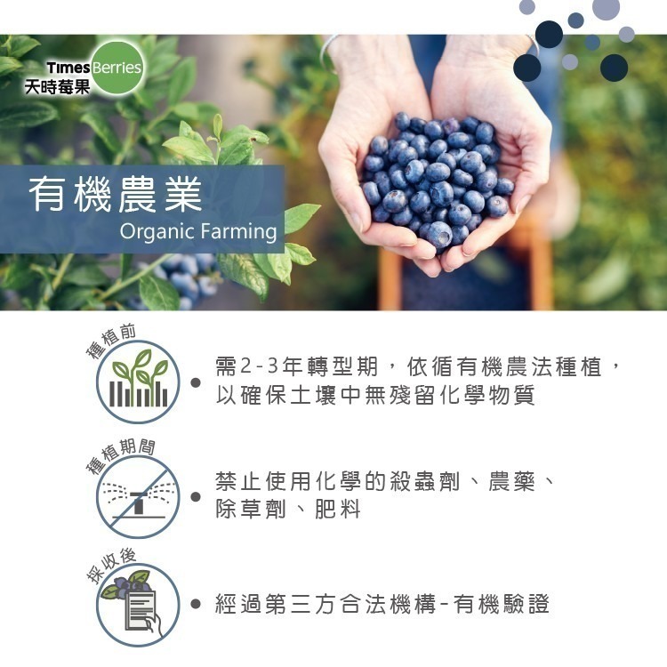 【天時莓果】美國有機冷凍栽種藍莓 454g/包 [獨家商品．慈心有機驗證]-細節圖5